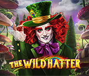 The Wild Hatter